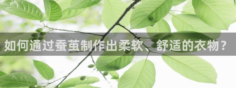 天辰娱乐登陆