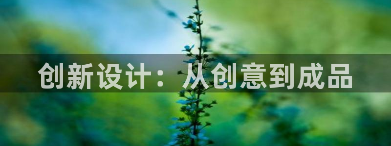 天辰娱乐小妹