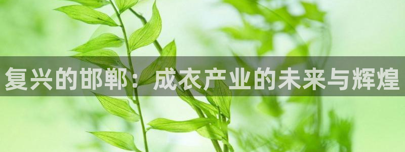 天辰娱乐传媒