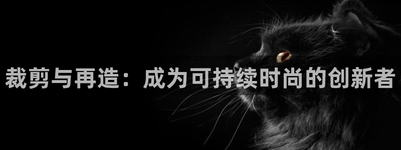 天辰娱乐游客