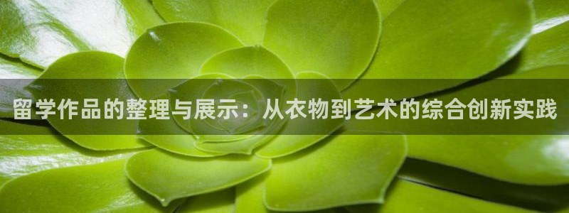天辰宝宝娱乐