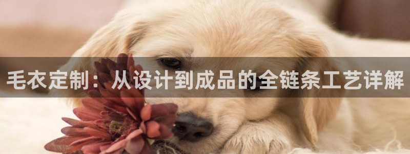 天辰娱乐总管
