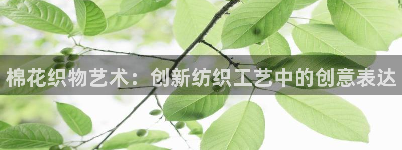 天辰娱乐台湾
