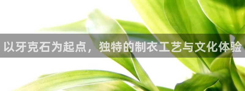 天辰娱乐入口