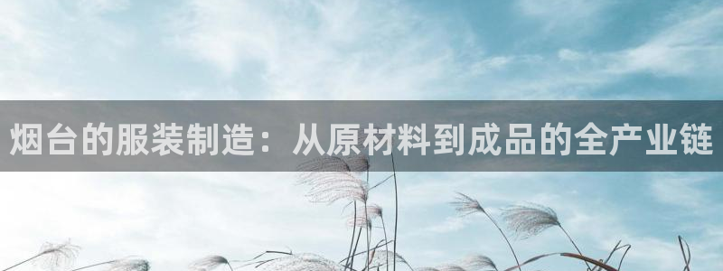 天辰娱乐下载链接