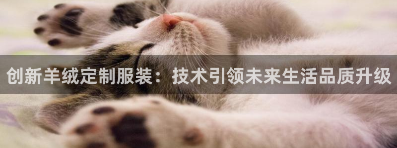 集宁天辰娱乐