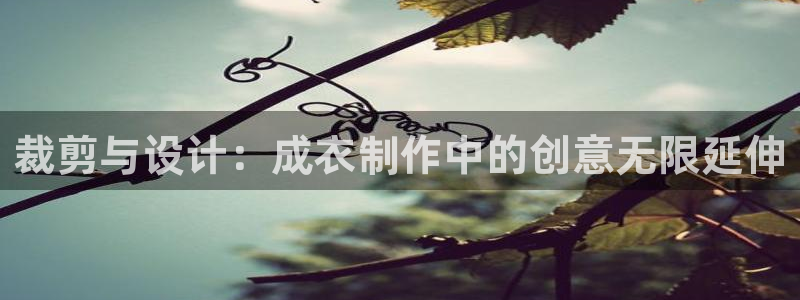 天辰娱乐60447