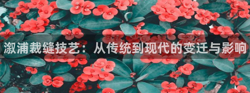 天辰娱乐557448