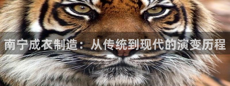 天辰娱乐下载链接