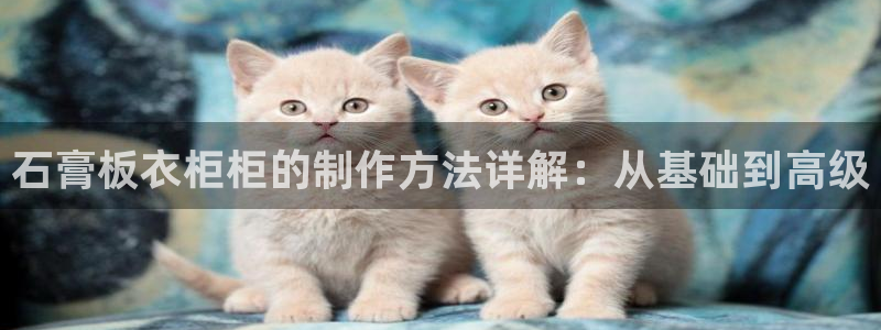 天辰娱乐1980