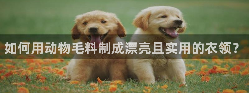天辰娱乐51137