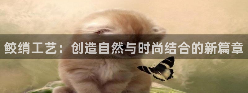 天辰娱乐小姐