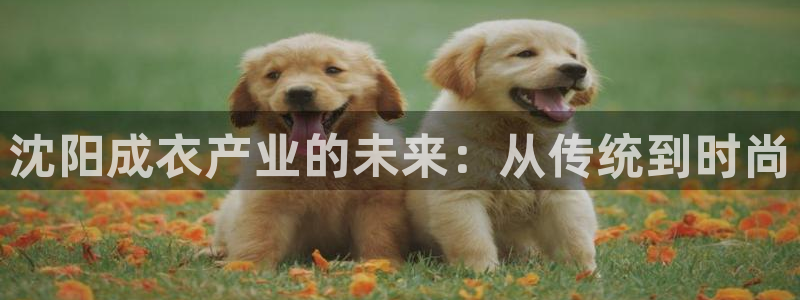 天辰娱乐咋样