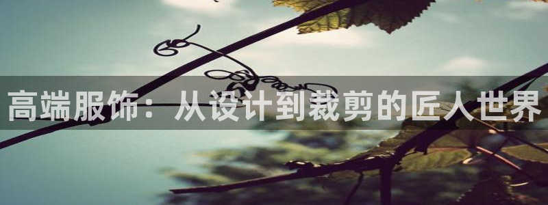 天辰团队贝高娱乐