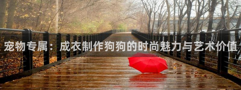 天辰娱乐怎么样