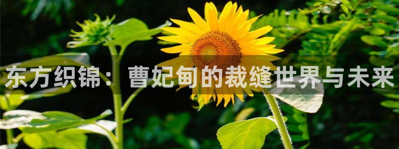 天辰娱乐官方