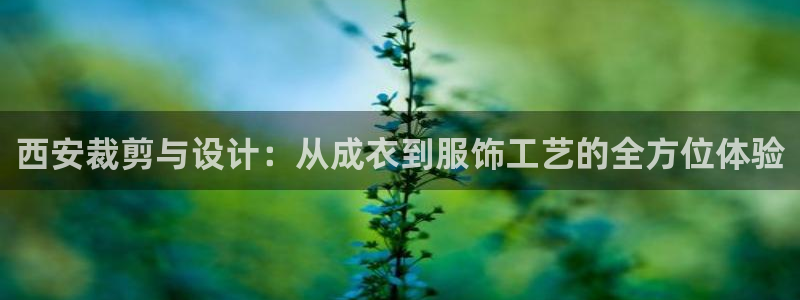 天辰娱乐天辰宝