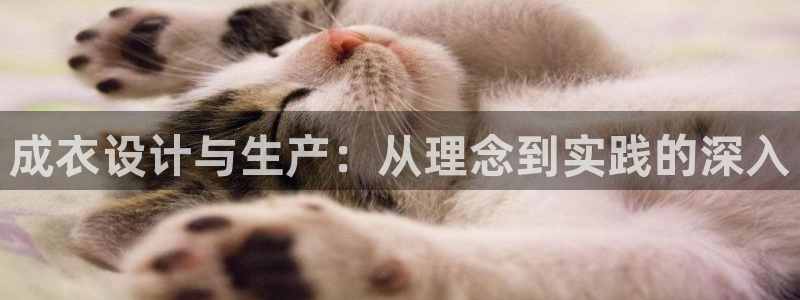 天辰娱乐待遇