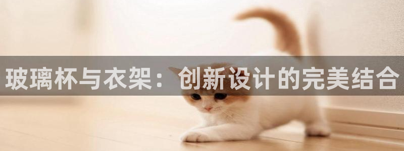 天辰娱乐 主管