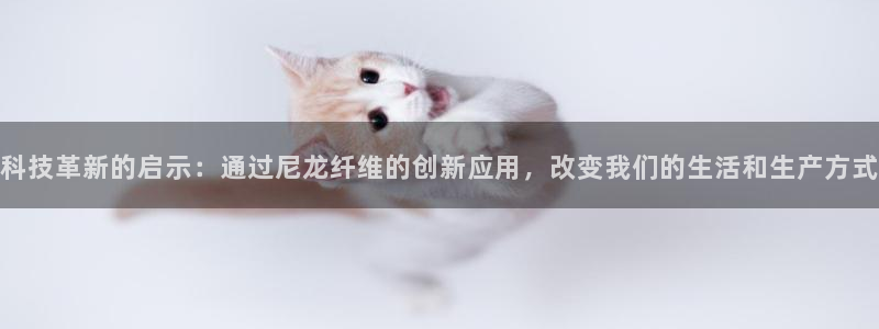 天辰娱乐APP下载