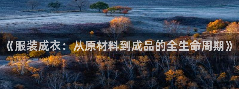 天辰娱乐官网平台下载